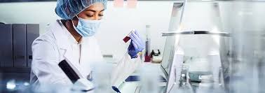India's Thriving Pharmaceutical Industry: R&D and Government Support 5