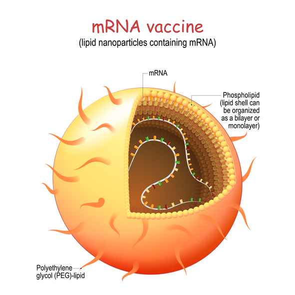 Revolutionizing Vaccine Delivery with Lipid Nanoparticles against Viral Lung Infections 9