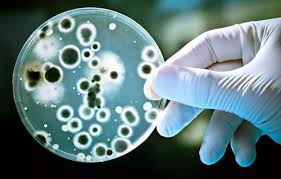 AI Breakthrough in Combating Antibiotic-Resistant Bacteria 1